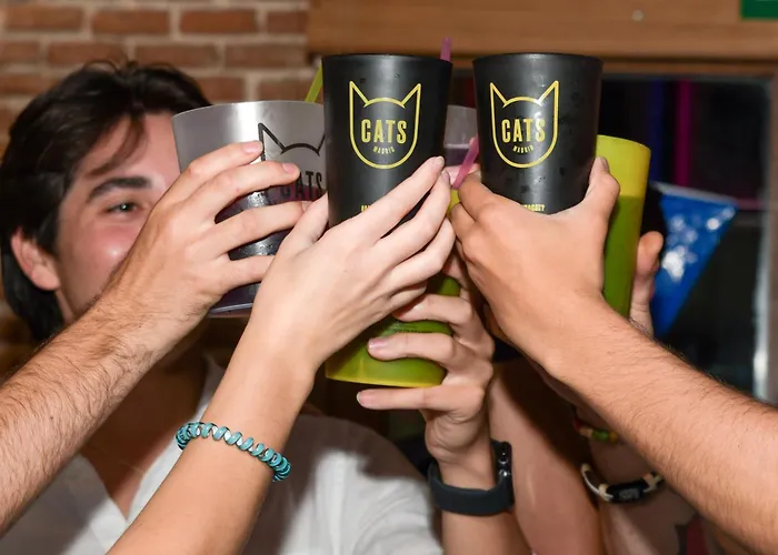 Hostales en MadridCats Sol